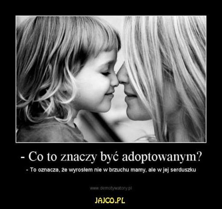 Koszty i proces adopcji