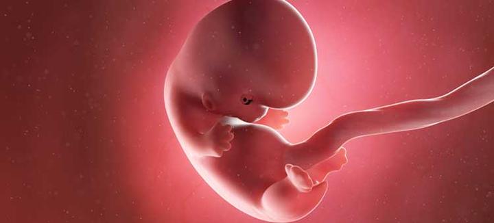 Pierwsze objawy ciąży